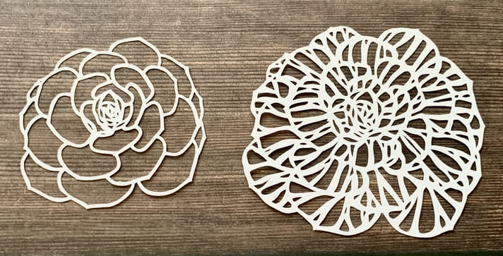 多肉植物の切り絵